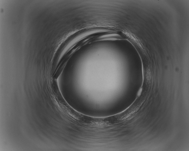X0000086290540200704090958