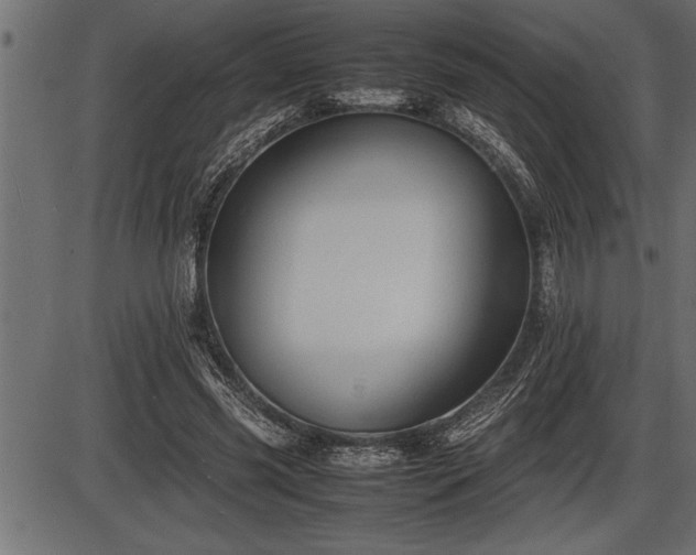 X0000086290541200704090958