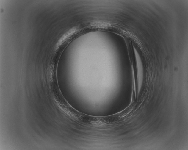 X0000086290544200704090958