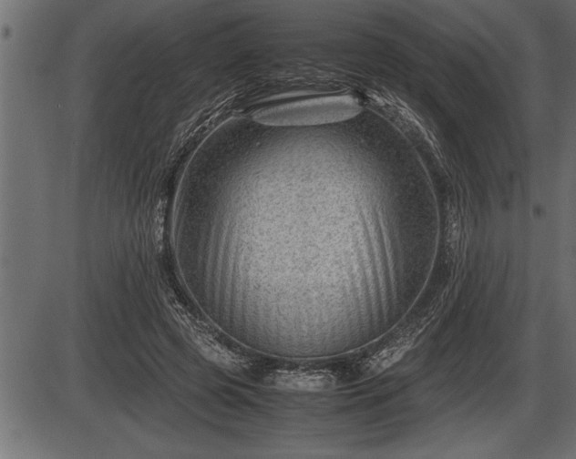 X0000086290545200704090958