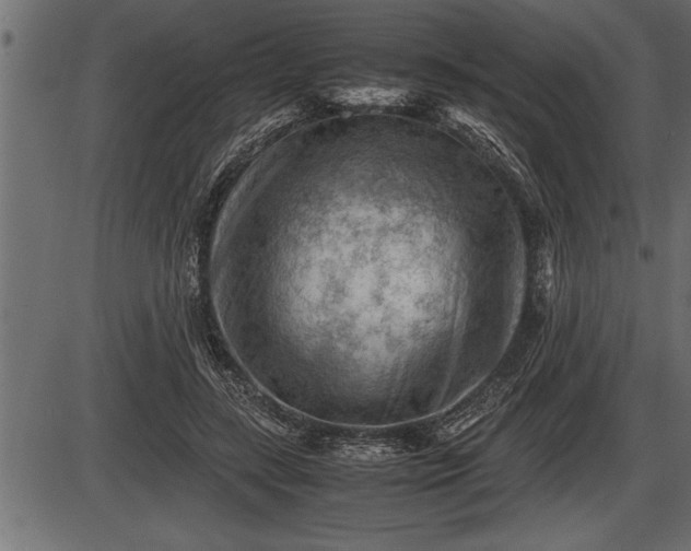 X0000086290547200704090958
