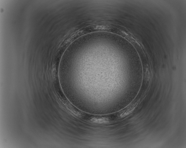 X0000086290557200704090958