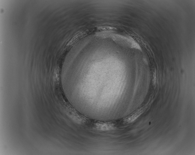 X0000086290561200704090958