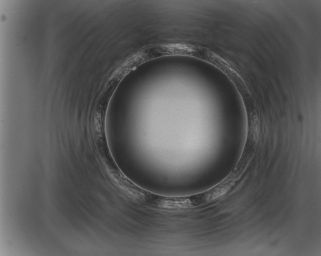 X0000086290571200704090958
