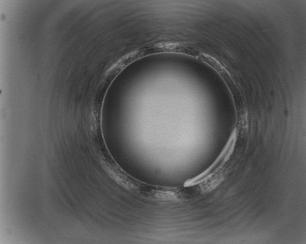 X0000086290572200704090958