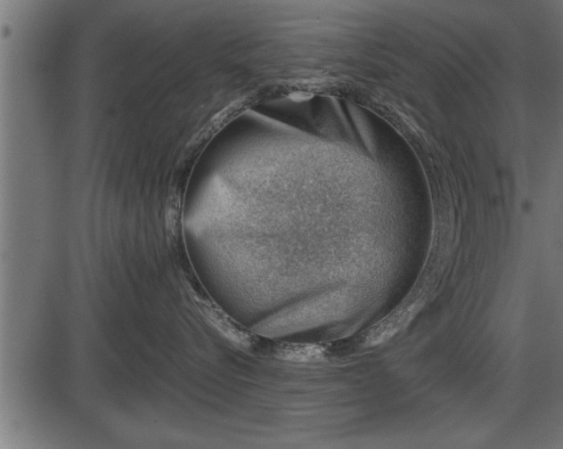 X0000086290576200704090959