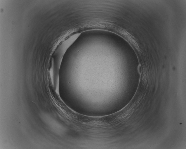 X0000086290578200704090958
