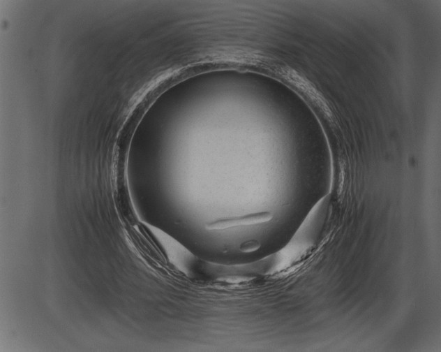 X0000086290580200704090958