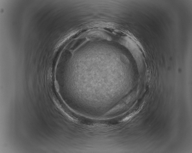 X0000086290581200704090958