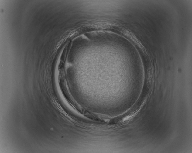 X0000086290585200704090958