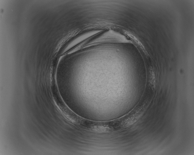 X0000086290586200704090958