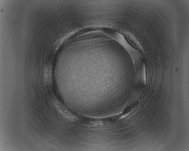 X0000086290588200704090958