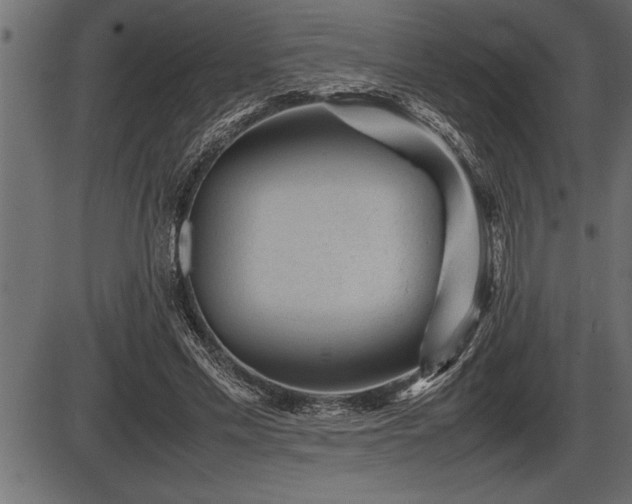 X0000086290589200704090958