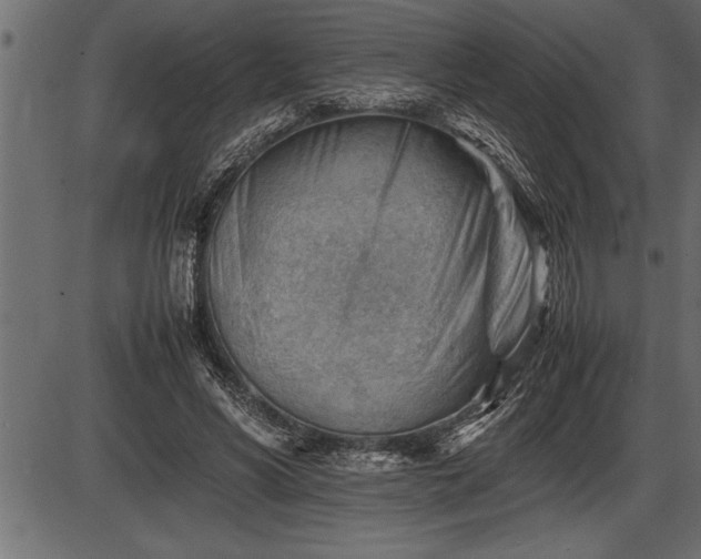X0000086290590200704090957