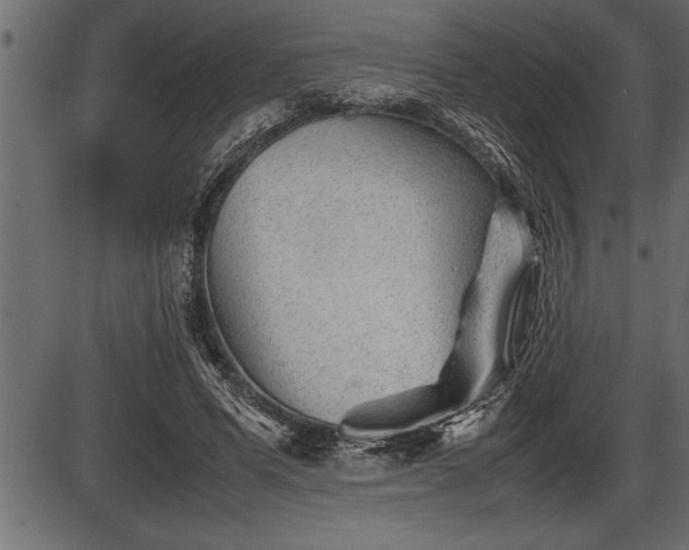 X0000086290591200704090957