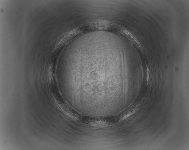 X0000086290594200704090957