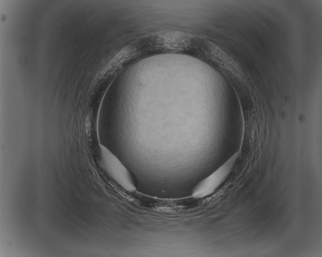 X0000086290595200704090957