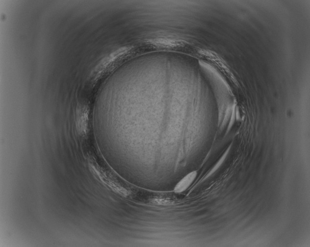 X0000086290596200704090957