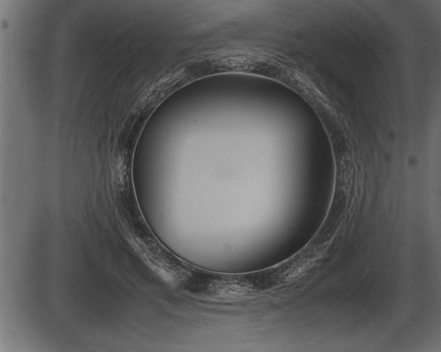 X0000086290597200704090957