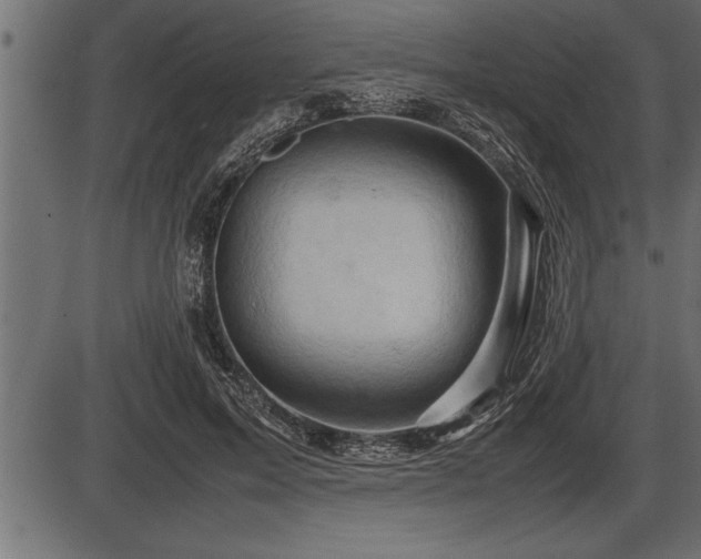 X0000086290599200704090957