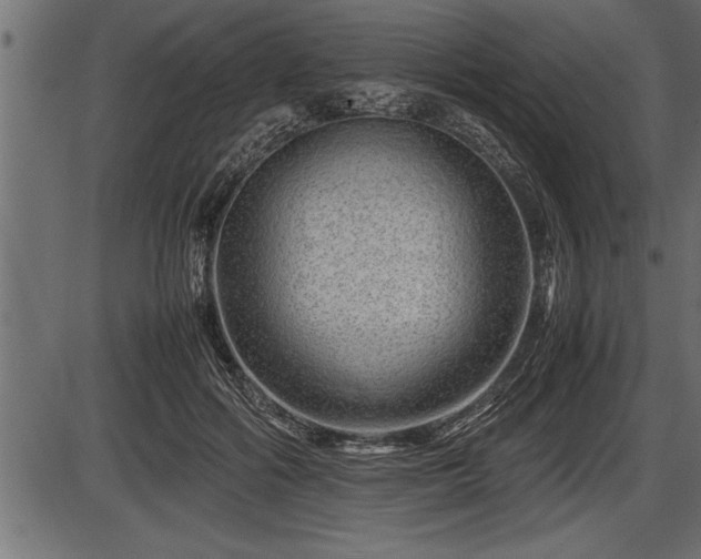X0000086290602200704090957