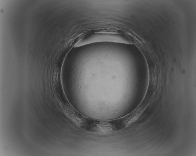 X0000086290603200704090957