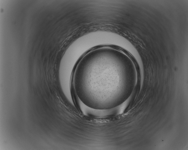 X0000086290608200704090957