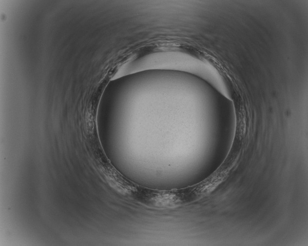 X0000086290609200704090957