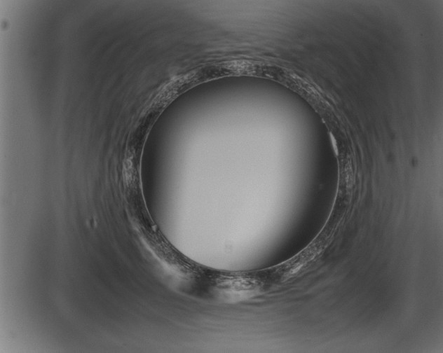 X0000086290611200704090957