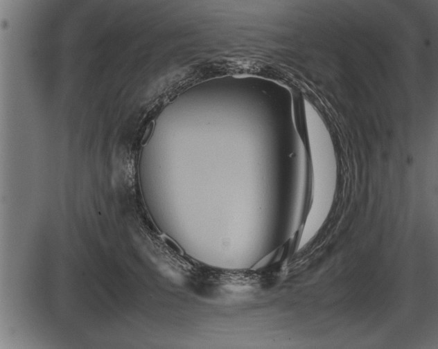 X0000086290613200704090957
