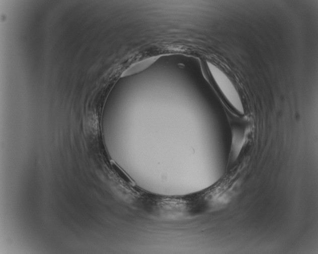 X0000086290617200704090957