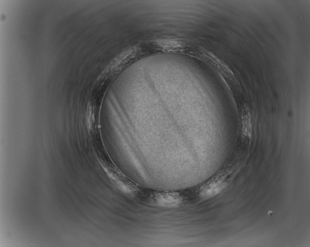 X0000086290618200704090957