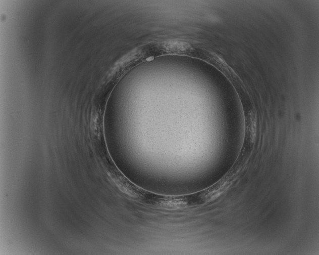 X0000086290619200704090957