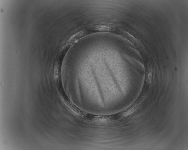 X0000086290620200704090957