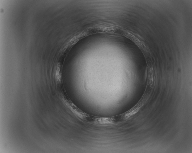 X0000086290622200704090957