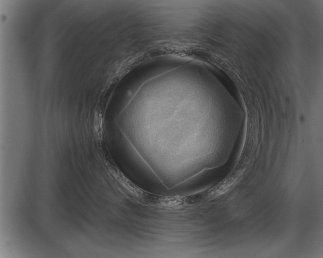 X0000086290624200704090957