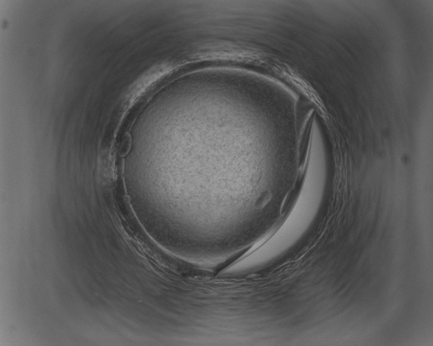 X0000086290628200704090956