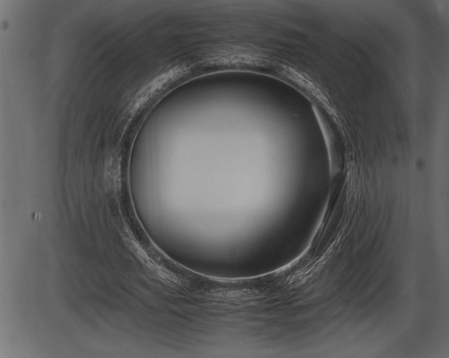 X0000086290629200704090956
