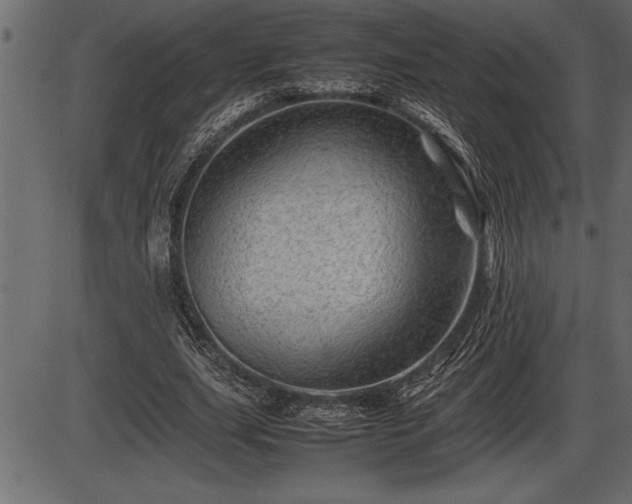 X0000086290631200704090956
