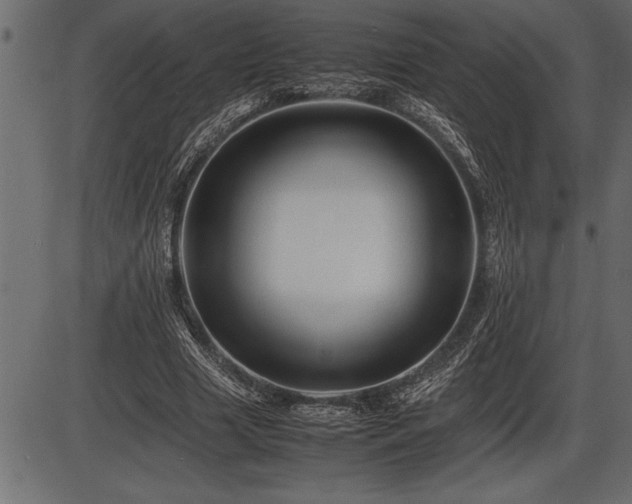 X0000086290633200704090956