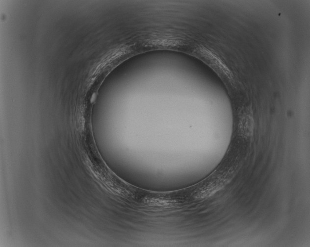 X0000086290635200704090956