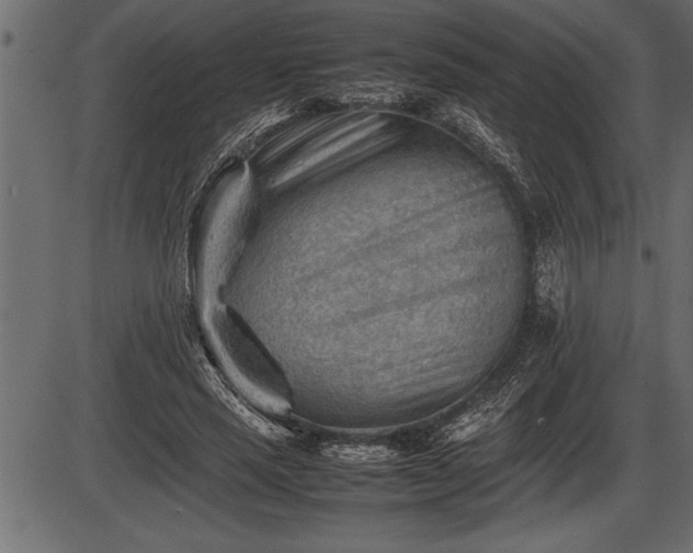 X0000086290637200704090956