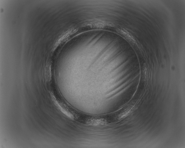 X0000086290638200704090956