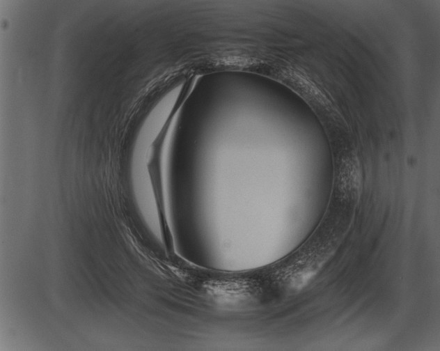 X0000086290639200704090956