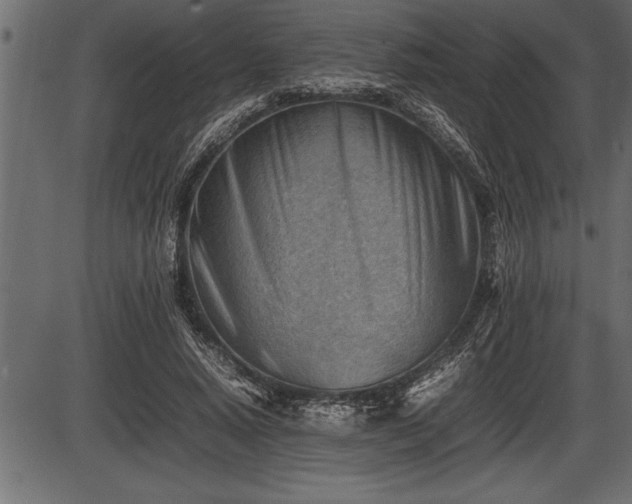 X0000086290640200704090956