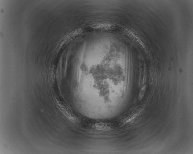 X0000086290641200704090956