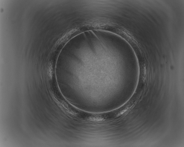 X0000086290644200704090956
