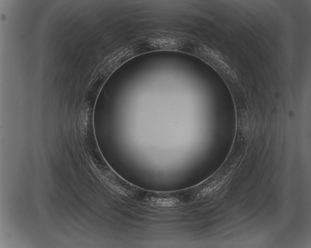 X0000086290645200704090956
