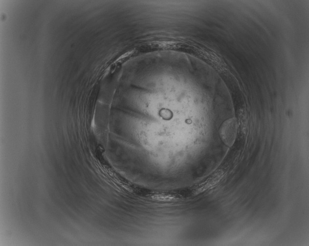X0000086290650200704090957
