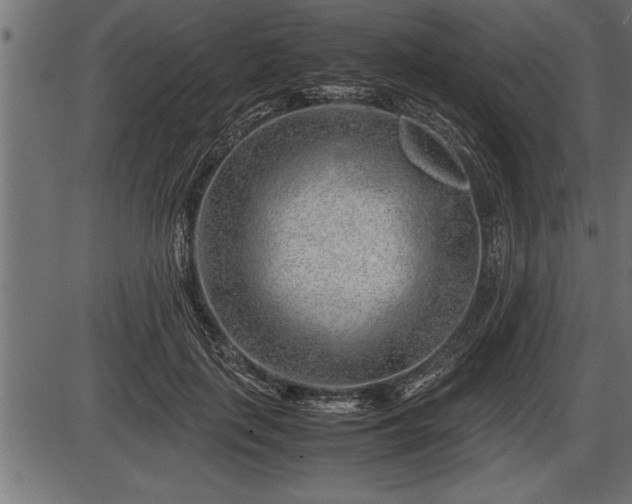 X0000086290651200704090957